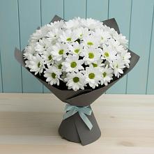 Букет цветов из:  Хризантемы в Лесной Кировской области