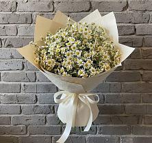 Букет цветов из:  Ромашки #REPLACE_PRED# Лесной Кировской области