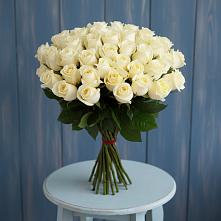 Букет 51 Белая роза Эдлесс Лав в Лесной Кировской области