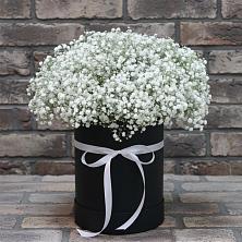 Цветочная композиция из Гипсофила в шляпной коробке в Лесной Кировской области